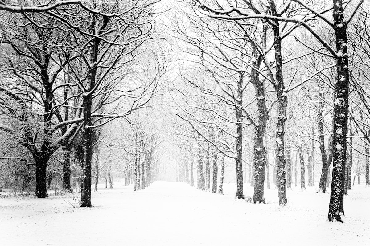 Winterdienst